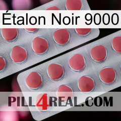 Étalon Noir 9000 19